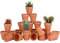 Lot de 28 Pots de Fleurs,Petite Terre Cuite Pots avec Trou de Drainage pour l'intérieur, extérieur, Plante Jardin Balcon Décoration Mariage Fête Maison et Chambre 5.5cm