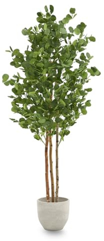 Maia Shop | Konstgjorda Eucalyptus träd | Konstgjorda växter | Falska växter | Mått: 180 x 80 cm | Stora konstgjorda växter | Konstgjord växt | Konstträd | Heminredning | Dekoration
