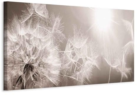 artgeist Acoustic Canvas Wall Art Print Dandelion 53x18 in - 1pcs Picture with Acoustic Foam Sound Print Artwork Room Acoustics Soundproofing - Beige Grey Sepia Nature b-C-0161-b-a