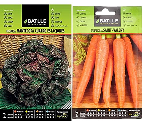 Lechuga Marv. 4 ESTACIONES & Zanahoria SAINT VALERY
