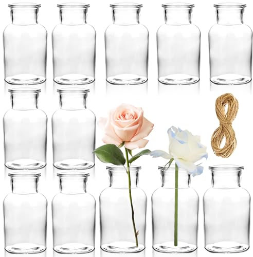 Lighterday 12 Pcs Flower Vase,10cm Height 125ml Small Glass Vase Set with 5M Jute Twine,Mini Glass Bud Vases for Table Decoration Living Room,Home,Office or Wedding