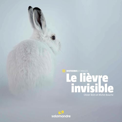 LA SALAMANDRE