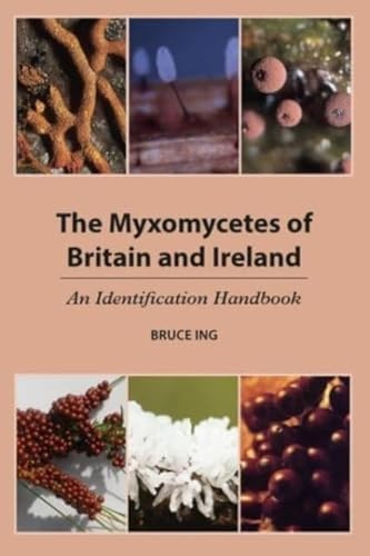 University of Chester Press