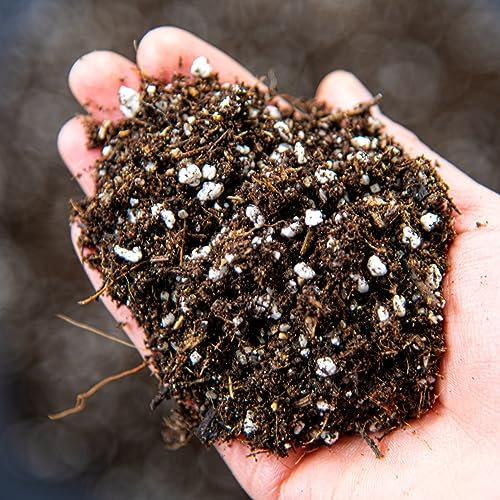 Carnivorous Plant Potting Mix – Premium Venus Flytrap, Pitcher Plant and Sundew Substrate with Perlite, Coco Coir and Leca for Healthy Growth and Strong Root Development (5L)