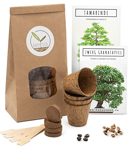 Bonsai Starter Kit - Bonzai set avec pots de noix de coco, graines et terre - idée de cadeau durable pour les amoureux des plantes (Grenadier Nain + Tamarin)