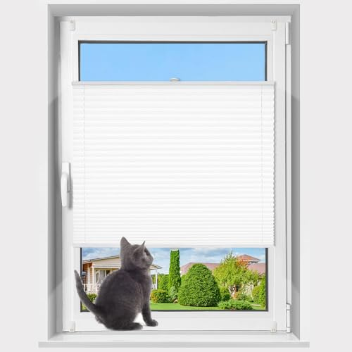 Plissé Klemmfix utan borrning med KlemmFix, (vit, bredd 75 cm x höjd 100 cm) veckad rullgardin, persienn för dörr och fönster, insynsskydd, solskydd, färdig plissé rullgardin