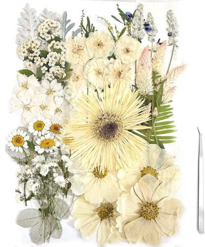 ZQmino Large White Natural Dried Pressed Flowers & Leaves for Resin Crafts