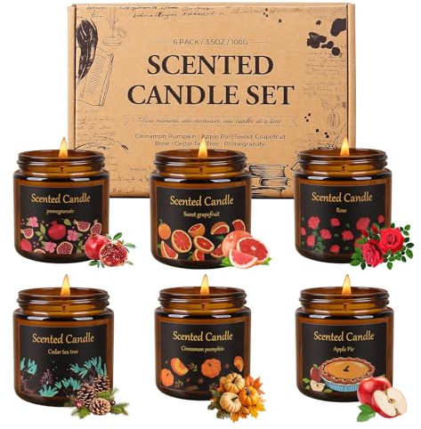 Aeraroma Duftkerze im Glas, 6er- Duftkerze Geschenk für Frauen Herren, 6 x 100g Kerzen für Zuhause Duftende aus Natürlichem Sojawachs, Amber Kerzen für Geburtstag, Valentinstag