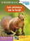 Je découvre et je lis CP - Les animaux de la forêt: Premières lectures, premières découvertes