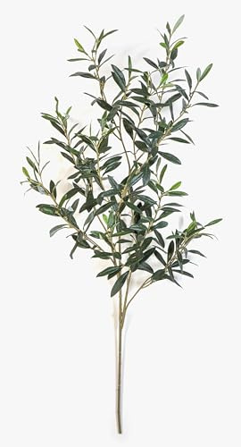 artplants.de Branche décorative d'olivier LORRIS, Verte, 110 cm