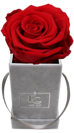 Emmie Gray Classic Infinity Roses | Velvet Grey | Fyrkantig blomlåda – Infinity rosor i grå sammetslåda – 1–3 års hållbarhet – riktiga rosor som blommar i flera år (klarröd)