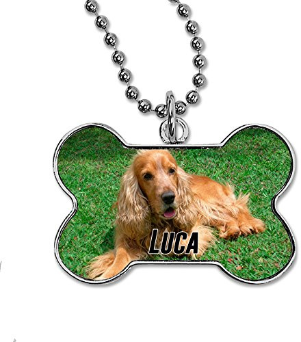 LolaPix Chapa Perros Personalizadas con Foto, Texto o Imagen. Placas para Perros. Chapa metálica con Forma de Hueso. Regalo Personalizado.