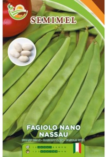 Fagiolo Nano Nassau - Semi di Fagiolo Mangiatutto, Baccello Piatto Verde, Raccolta Precoce, 50g 3 confezioni