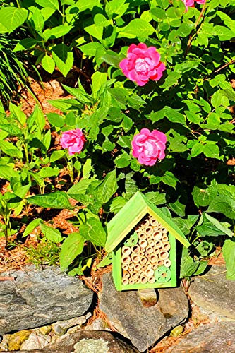 Mason Bee Houses and Supplies : Bamboo Tube Bee Hotel for Solitary Bees - Attract More Gentle Pollinating Bees to Your Garden by Providing Them with a Safe Bee Home Made from FSC Certified Wood