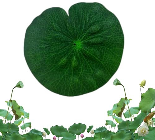 Feuille de artificielle - feuilles de flottantes réalistes, coussinets de gily imitation pour la décoration de l'étang | Feuille de de grenouille stimulée, faux lys vert, ameublement