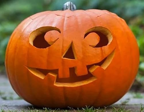 Semi di Zucca Ornamentale Halloween, Coltivazione in Orto, Giardino e Vaso, Varietà Commestibile