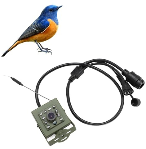 Inomhus Utomhussäkerhetskamera, Fågelboxkamera med Nattsyn, Lågbrus Utomhuskamera med Vidvinkellins för IOS Android (IMX335 CMOS -sensor 5MP)