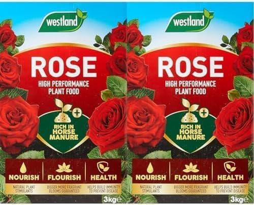Westland Horse Manure and Plant Stimulant Enriched Rose Food, 3 kg (Pack of 2)