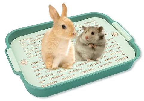 Tablett Hasentoilette, Kaninchen Toilette, Kaninchentoilette, Katzenklo Klein, Klo Ecke für Kleintier Hasen Meerschweinchen (Grün-Klein)