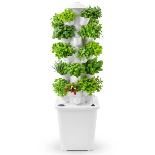 RUETERY Kit de culture hydroponique 6 niveaux, 30 trous de plantation, réservoir d'eau de 10 l, tour hydroponique 26 x 26 x 86 cm avec pompe à eau, tuyau et indicateur de niveau d'eau pour herbes