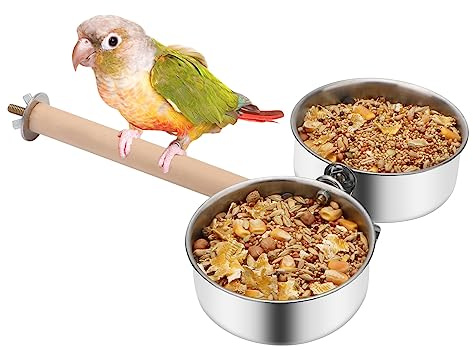 Bird Wood Stand Perch with Food Water Feeding Bowl for Parrot Parakeet Cockatiel Cage Accessories (B: Perch with 2 Feeder Bowls)