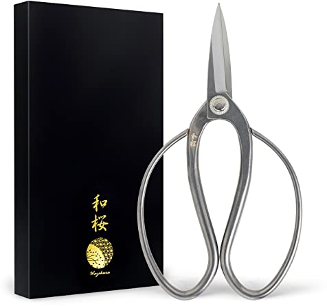 Wazakura Ciseaux à Bonsaï Traditionnels en Acier Inoxydable Haute Qualité Fabriqués au Japon 180 mm, Outils de Taille et Jardinage Japonais Pour une Coupe Précise