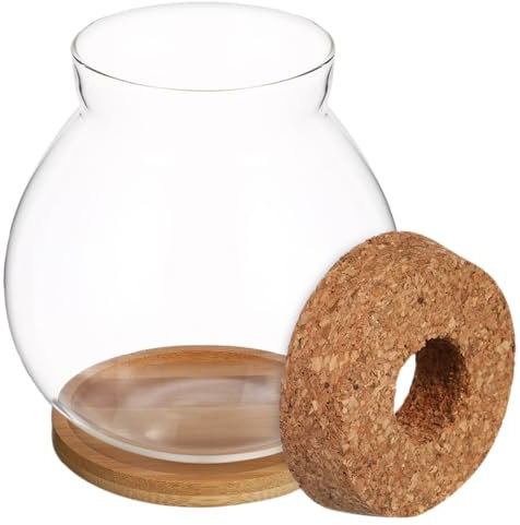 BUGUUYO Hydroponisches Aquarium aus Glas Fischglas Aquarium für Betta-Fische kleines Fischterrarienbecken kleine Fischschale mit Deckel Fischschalen aus Glas Bambus Transparent