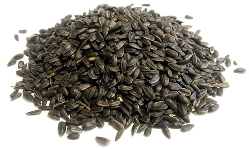 Black Sunflower Seed 1kg Premium Wild Bird Food LGW