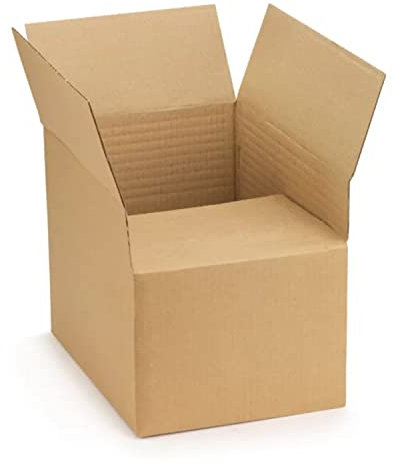 Raja 10 cartons d'emballage 31 x 21.5 x 8 cm - Simple cannelure