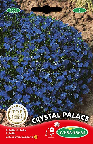 Germisem Crystal Palace Graines de Lobelia 0.3 g EC1561 Multicolore