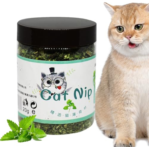 Hierba Gatera Orgánica,Premios para Gatos con Aroma de | Juguetes Interactivos Relajantes Atrayente Sabor Seguro Entretenimiento Feliz Necesidades Alimento Interior