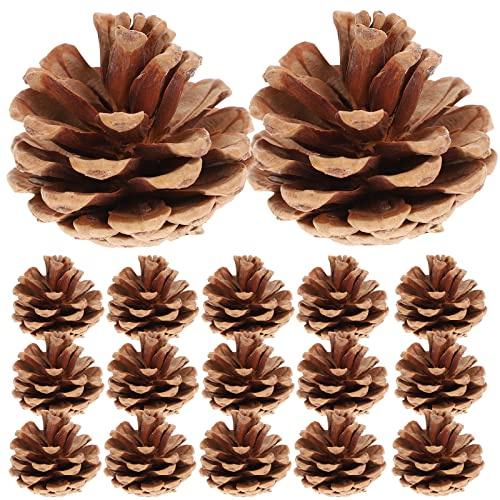 ROSENICE Naturale Pigna Secca Decor 48pcs Mini pigne Naturali Pigna Pino Cono Natalizie Pigna Naturale Albero Pino Cono (Brown)