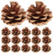 ROSENICE Naturale Pigna Secca Decor 48pcs Mini pigne Naturali Pigna Pino Cono Natalizie Pigna Naturale Albero Pino Cono (Brown)