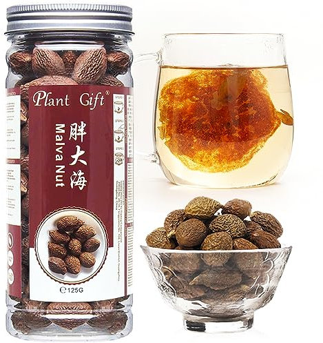 Plant Gift Malva Nut, Dried Sterculia Lychnophora Tea, Lychnophora hypotensive, Pangdahai séché (Semem Sterculiae Scaphigerae fruit de la scaphiglotte)125g/4.4oz