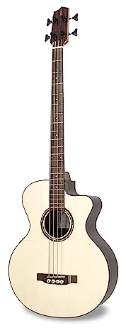 APC Instruments BG300 PSI CW Bass Gitarre