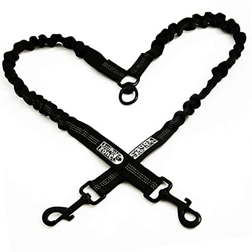 Splitter Dual Clip Shock Absorber Bungee Dog Lead - Night Reflective Stitching For Medium & Large Dogs - No Tangle, Double Ended Lead For Harness