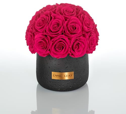 EG EMMIE GRAY Black Solid Infinity Collection – Drömlika Infinity rosor, 1–3 års hållbara rosor, betongvas med äkta, konserverade rosor, ädla premiumrosor – storlek M (het rosa)