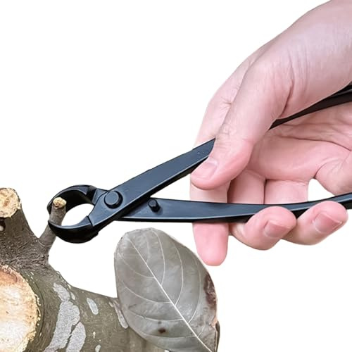 Cesoie da giardino per piante e fiori - Forbici da potatura e taglio resistenti alla ruggine - Forbici per fiori, adatte per rami da esterno, fiori, alberi, bonsai e