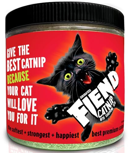 Fiend Catnip + Silvervine for Cats & Kittens Safety-Cut Premium Fine Cat Nip Blend with Vegan Silvervine + Ultra Potent, North American – 1 Cup (34.5g) Go Ahead, Create a Monster!