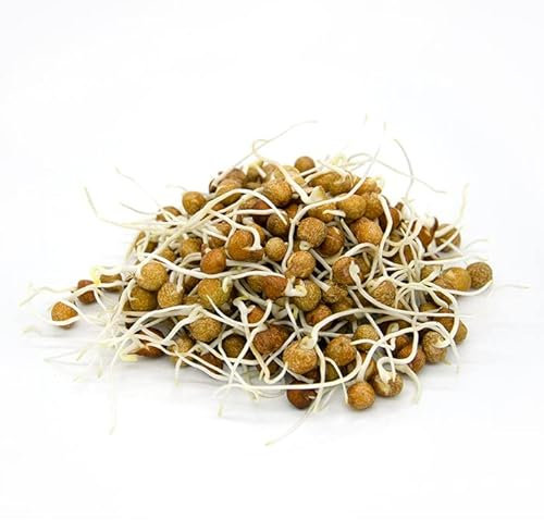 Italian Sprout - Semi per germogli - Pisello verde Efesto - 500 gr.