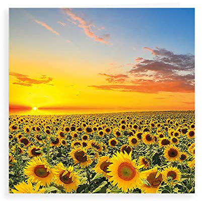 Piccadilly Greetings Phototgraphic Blank Card Sunflowers - 160 mm sq, Yellow