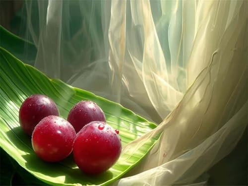 Paint by Numbers Kits for Adults Fruit,Nectarine Painting by Number Kits On Canvas,Without Frame DIY Craft Art Painting Kit Acrylic Pigment Drawing,Gifts for Women Home Decor 40x50cm/16x20in WS-205