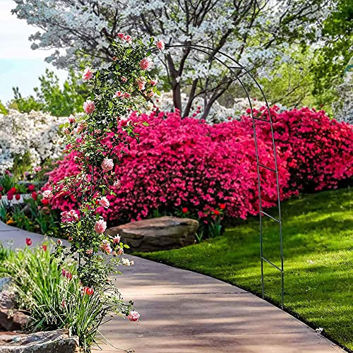 Arco da Giardino in Metallo,Arco per Rose per Piante Rampicanti,Resistente Padiglione da Giardino,Traliccio,Pergolati alle Intemperie E Autoportante,con Base,Facile da Montare,Nero,W3.5M*H2.2M