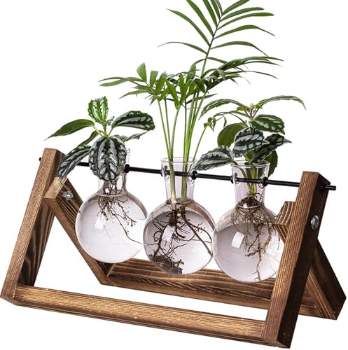 Desktop Hydroponik Glasvase, Hydrokultur Pflanzen Vase, Deko Holz Halter mit Hydroponik, Pflanzenhalter Hydroponische Glasvase, für Schlafzimmer, Wohnzimmer und Bürodekoration (3 Bulb Vase)
