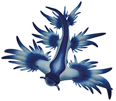 Bullyland 67511 - Statuetta a forma di lumaca blu oceanica, ca. 6,5 cm, fedele ai dettagli, senza PVC, ideale come piccolo regalo per bambini dai 3 anni in su