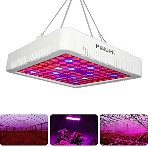 LED Horticole Lampe,Lampe pour Plante 300W Spectre Complet,Avec un Crochet de Suspension pour la Culture de Plantes Hydroponiques de Légumes et de Fleurs