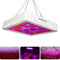 LED Horticole Lampe,Lampe pour Plante 300W Spectre Complet,Avec un Crochet de Suspension pour la Culture de Plantes Hydroponiques de Légumes et de Fleurs