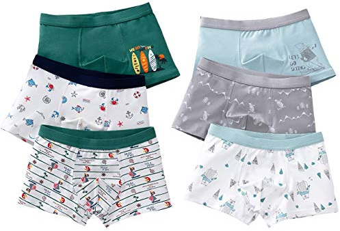 LeQeZe Boxer Garçon Lot de 6 Enfant Slip Garcon Calecon Bébé Coton Culotte Pantalon sous-Vêtement 2-11 Ans (Boys 6 Pack/05, 10-11ans)