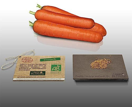 250 graines Bio à semer - Le Grenier d'Abondance - CAROTTE Nantaise - Certifié AB - Daucus Carota