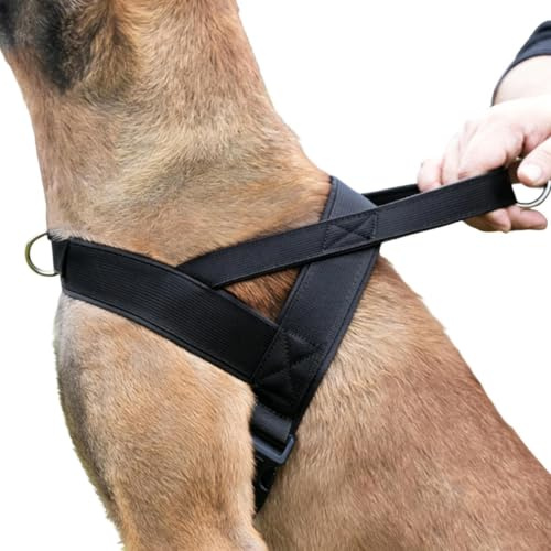 Imbracatura anti-trazione per cani | Gilet da passeggio traspirante | con fibbia di sicurezza regolabile imbracatura anti-tiraggio, per attività all'aperto, allenamento, esercizio